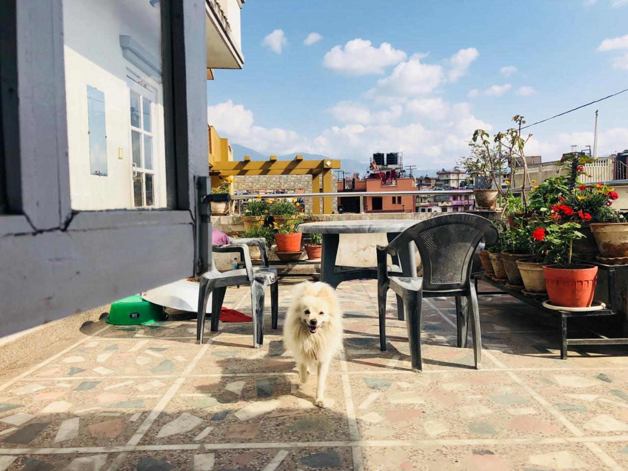 Kaji Home Lalitpur Ngoại thất bức ảnh